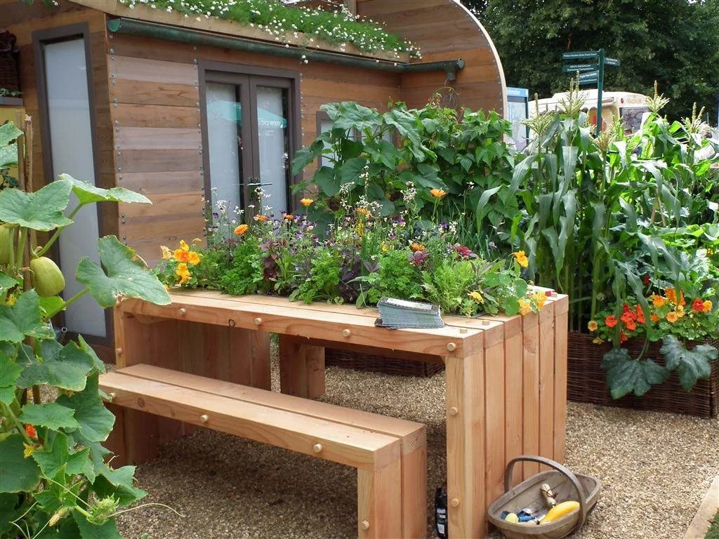 5 a day garden   edible as well as attractive 2